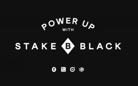 澳洲在线券商Stake推出付费服务Stake Black