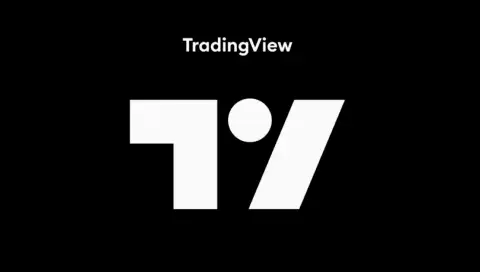 TradingView获Tiger Global领投2.98亿美元，估值达30亿美元