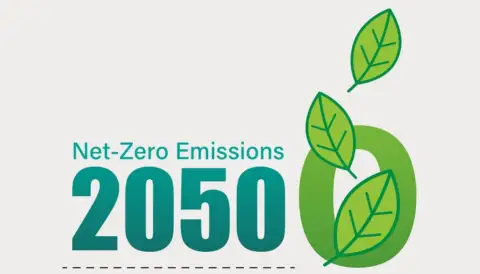 实现2050年净零排放的经济影响:成本、机遇与风险