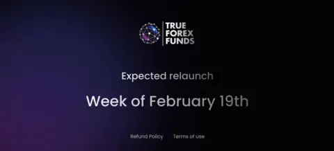 独家:True Forex Funds 计划下周重启自营交易业务