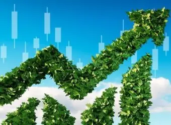INFINOX 全面推行无纸化,携手 scnz.io 推出环保名片并启动植树计划
