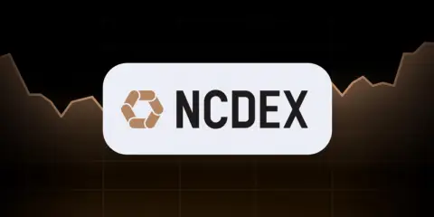 TradingView 小部件登陆 NCDEX 官网,助力印度商品交易者