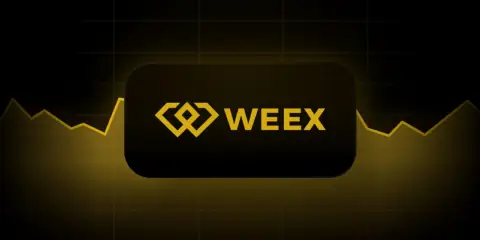 TradingView 集成 WEEX 交易所数据,新增数十个现货及永续合约交易对