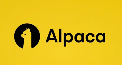 Alpaca 获纳斯达克交易所会员资格,强化美股市场布局