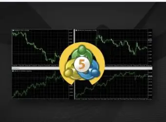 Darwinex 推出 MT5 账户链接与迁移服务,交易者可保留原有记录
