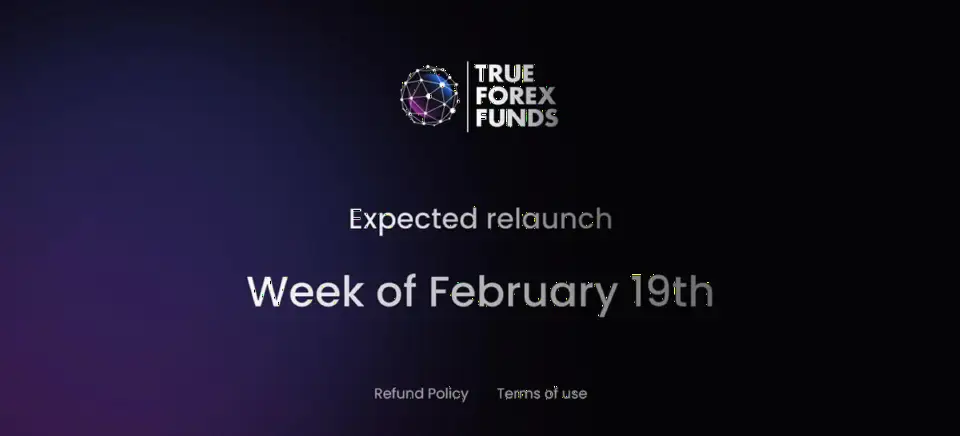 独家:True Forex Funds 计划下周重启自营交易业务