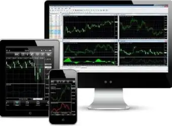 独家:Gildencrest Capital(原TeraFX)2023年营收飙升52%,经纪商拓展非差价合约业务