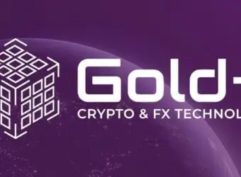 独家:Gold-i 启用新标志,完成品牌重塑
