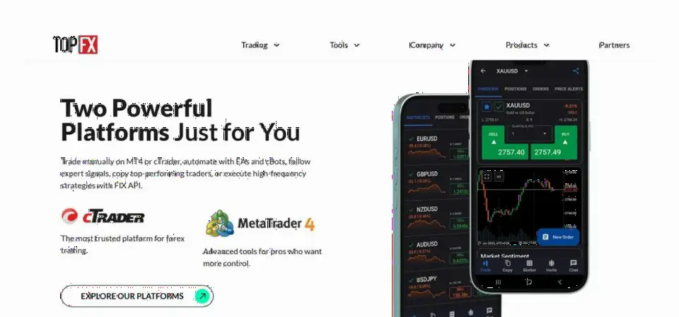 TopFX 品牌焕新：推出全新网站，重塑品牌形象