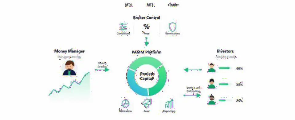 Spec Markets上线PAMM账户并扩大与Brokeree技术合作