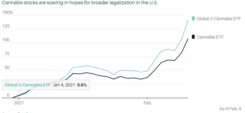 任何消息都是好消息，医用大麻股Tilray股价上涨35%