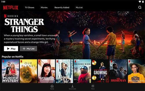 Netflix预计今年将在内容上花费170亿美元,推动用户增长