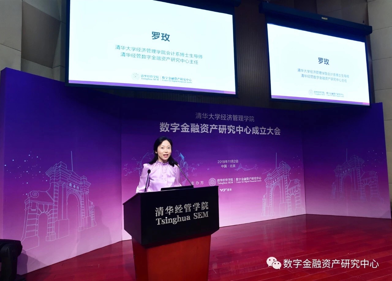 清华罗玫:数字资产领域的会计、税务挑战