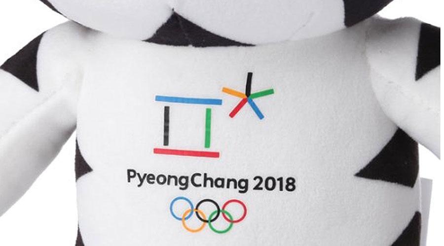 将参加 2018 年平昌冬奥会的美国无舵雪橇队接受比特币捐款