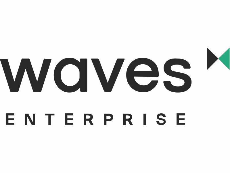 聚焦数字基础设施,Waves Enterprise 如何在企业区块链竞赛中抢得先机?