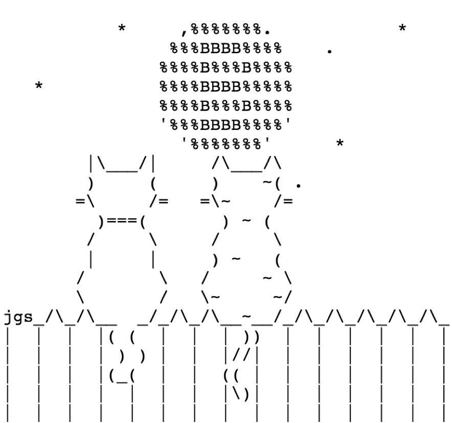 first-lightning-payment-for-cats.original