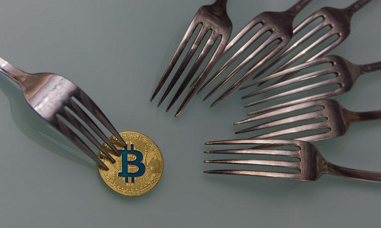 bitcoin forks