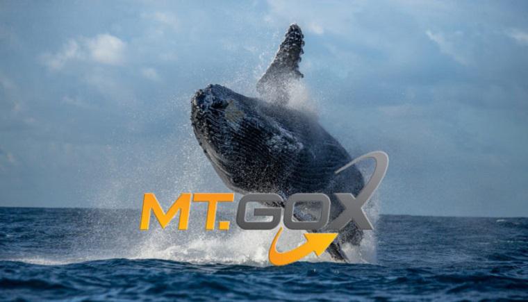 whale-mtgox-dp-750x430