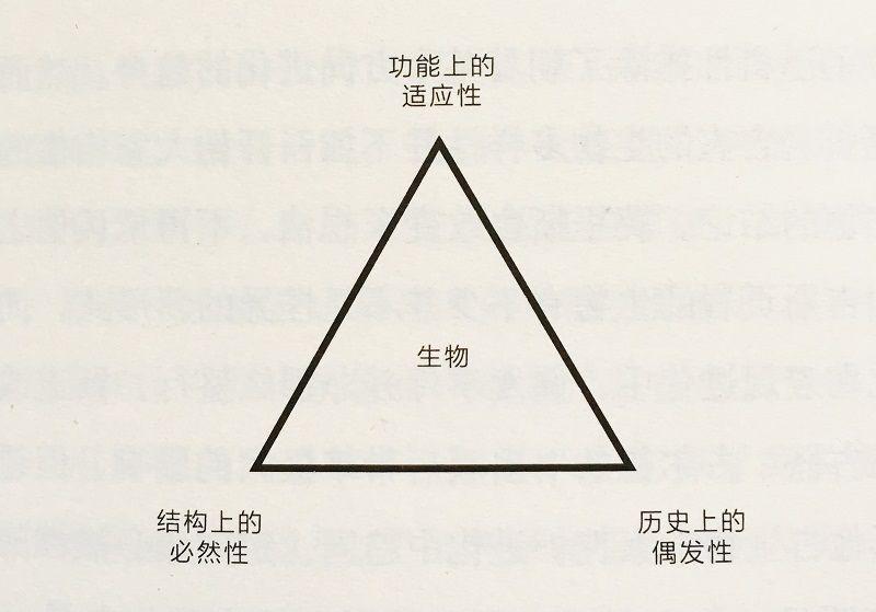 理解凯文·凯利:科技究竟想要什么,区块链又该如何理解?