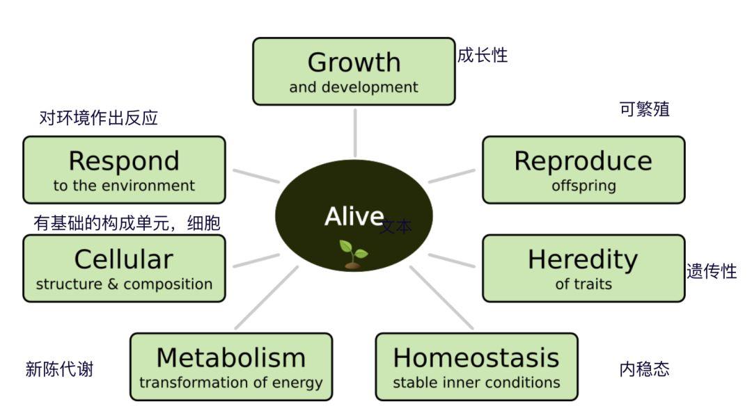 在生物学家眼中,比特币是只无法驯服的蜜獾