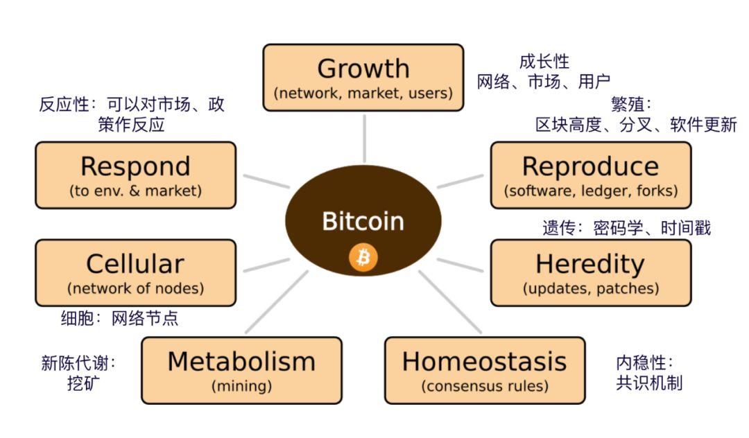 在生物学家眼中,比特币是只无法驯服的蜜獾