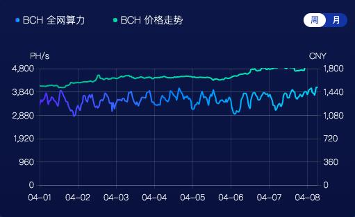 BCH 产量减半,对价格、网络安全及生态发展有何影响?