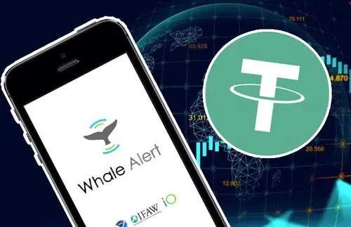 揭秘加密市场巨鲸监视者 Whale Alert 历史、产品与规划