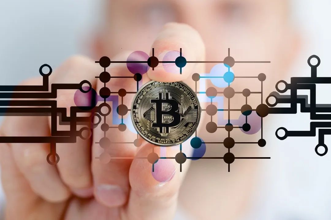 Amber Group 股东 Pantera Capital:我们目前处于加密货币牛市早期