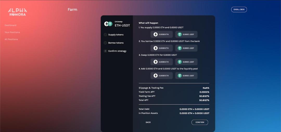 Alpha Finance Lab 创始人:解析产品特性、操作流程与发展规划