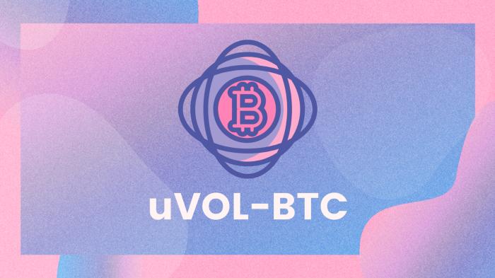 引介 | uVOL 代币:追踪并交易资产波动性