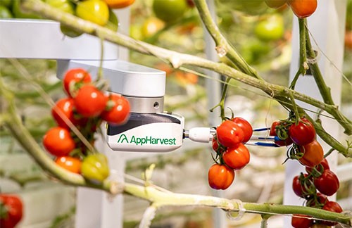 到2025年AppHarvest计划拥有12个农场,年产量超4000万磅
