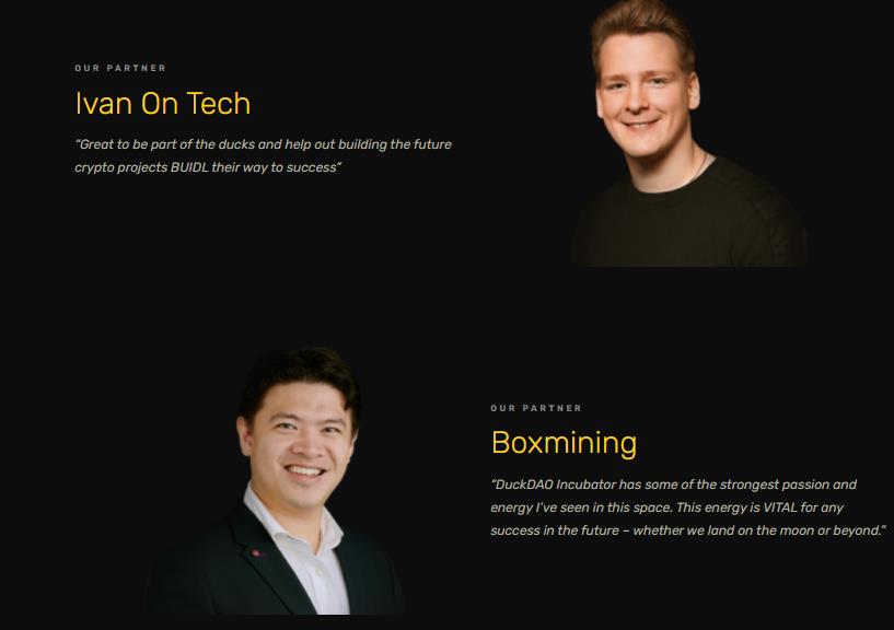 DuckDAO 这只迅速走红的小黄鸭,能改变币圈早期投资玩法吗?
