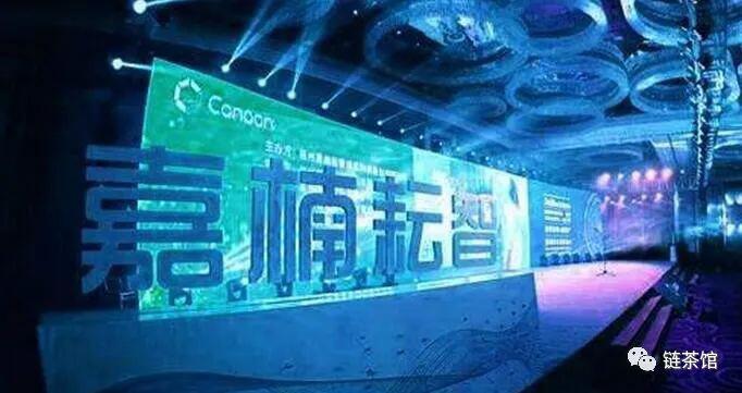 嘉楠科技2019年营收14.226亿元,净亏损10.345亿元人民币