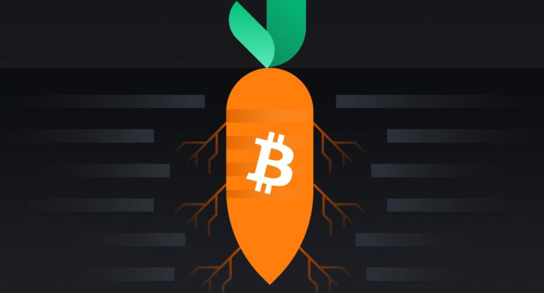 比特币四年来首次重要升级:Taproot 会带来哪些变化?