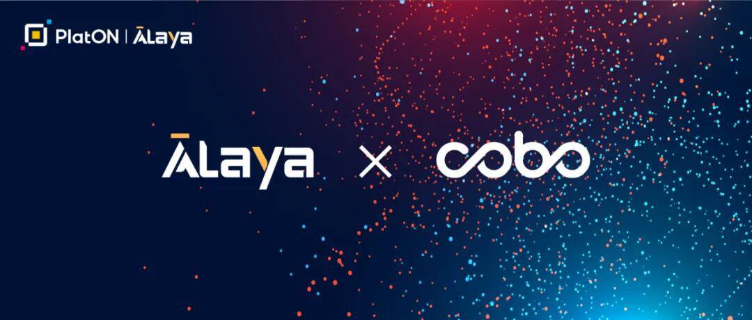 Cobo宣布正式支持PlatON元网络Alaya