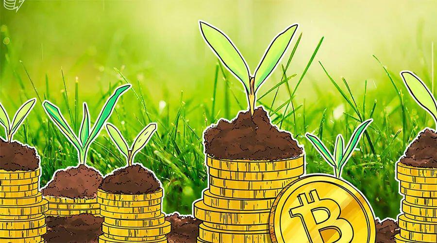 随着机构投资涌入,Bitwise管理总资产超过5亿美元
