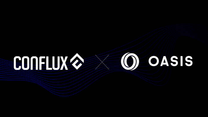 引入隐私保护机制,Conflux与Oasis共同推动区块链网络透明化建设