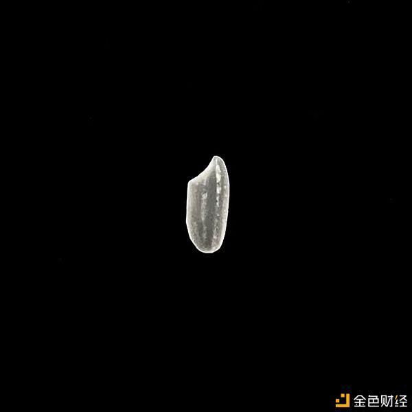 CryptoVoxels上的虚拟世界漫游者