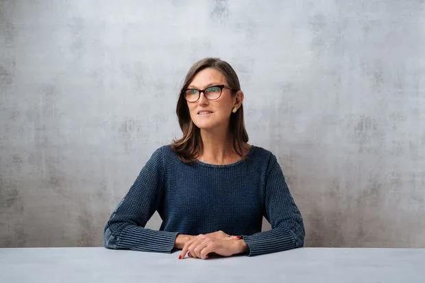 “女股神”Cathie Wood加入欧洲加密平台Amun董事会,旗下ARK Innovation ETF跌至年度新低