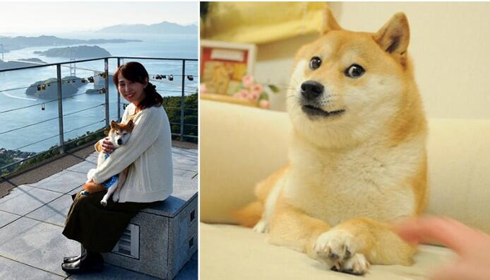吃水忘了打井人,Doge Meme的原作者将以 NFT 形式拍卖原版