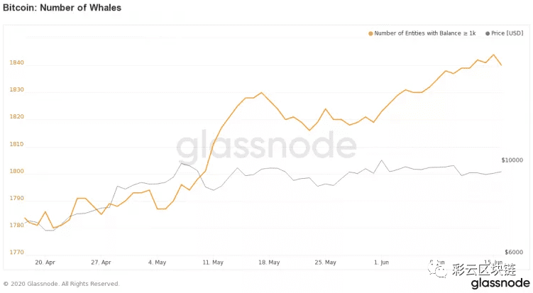 Coindesk:自减半以来,比特币“鲸鱼”数量上升了2%