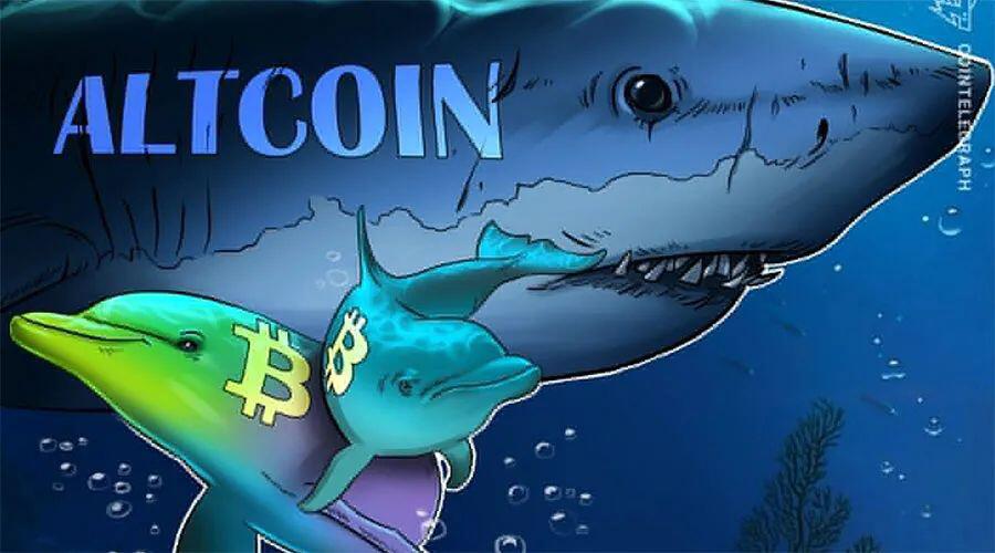由于加密货币市值阻力位,a href='https://www.btcfans.com/tag/1/' target='_black'比特币/a的主导地位下滑至12个月低点