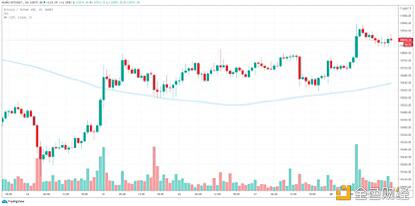 尽管具有高波动性 BTC仍是重要的储备资产