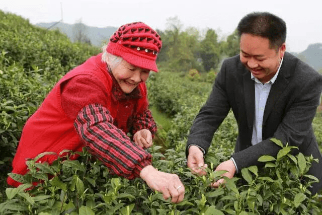 蚂蚁区块链加持618:助力商户数字化转型