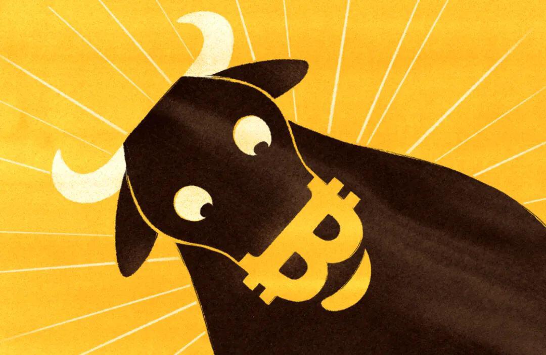 行情分析丨坐稳在车上,跟着比特币一路向北