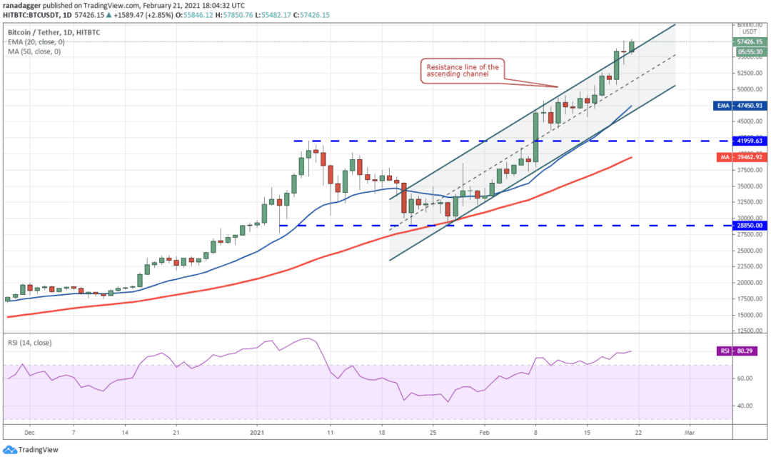 本周值得关注的5种加密货币:BTC、AAVE、ATOM、NEO、VET