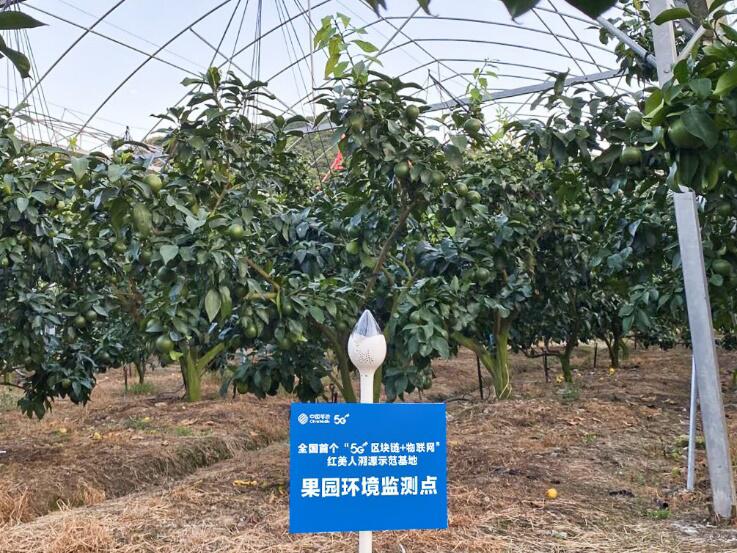 高效治理,品牌赋能 浙江移动5G+区块链应用加速落地