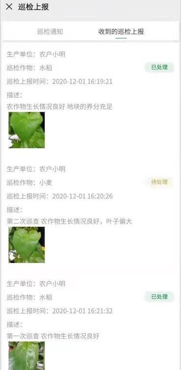 高效治理,品牌赋能 浙江移动5G+区块链应用加速落地
