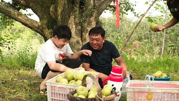 “上链”正在成为农村地区“触网”之后的新选择