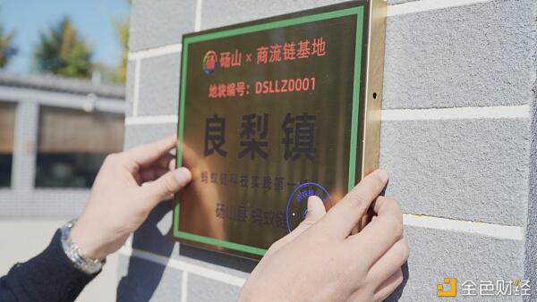 “上链”正在成为农村地区“触网”之后的新选择